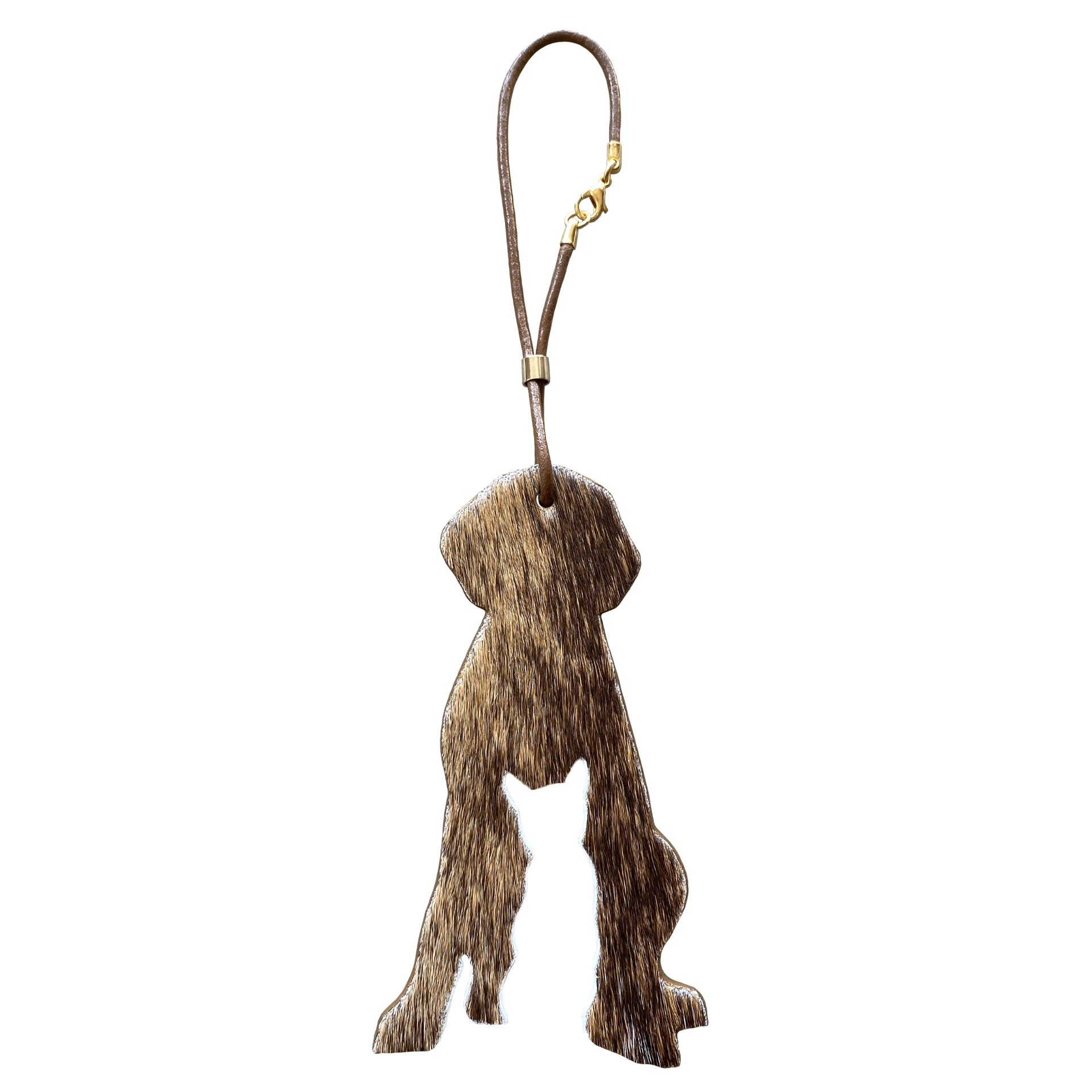 CHARM CHIEN et CHAT Poils