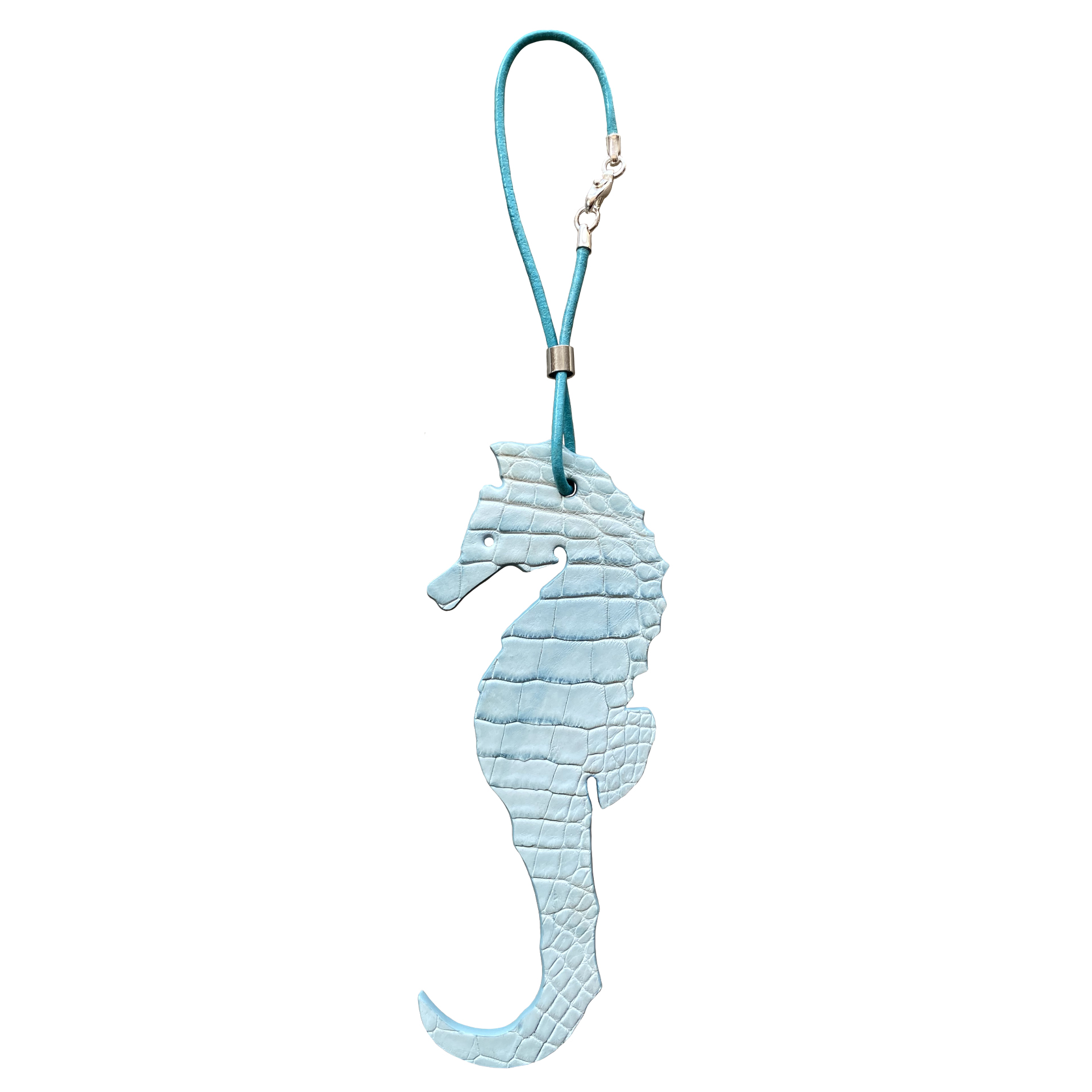 CHARM HIPPOCAMPE Croco
