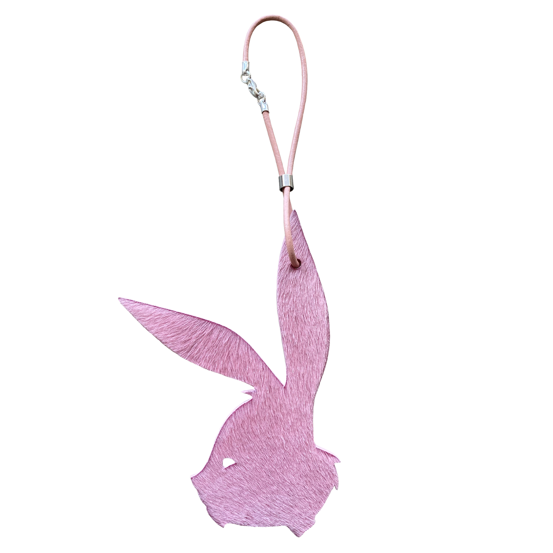 CHARM LAPINE Poils