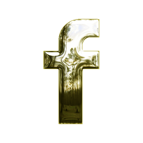 Social Media Profile