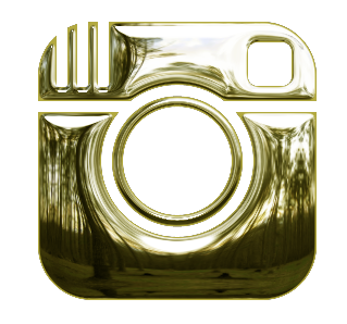 Social Media Profile