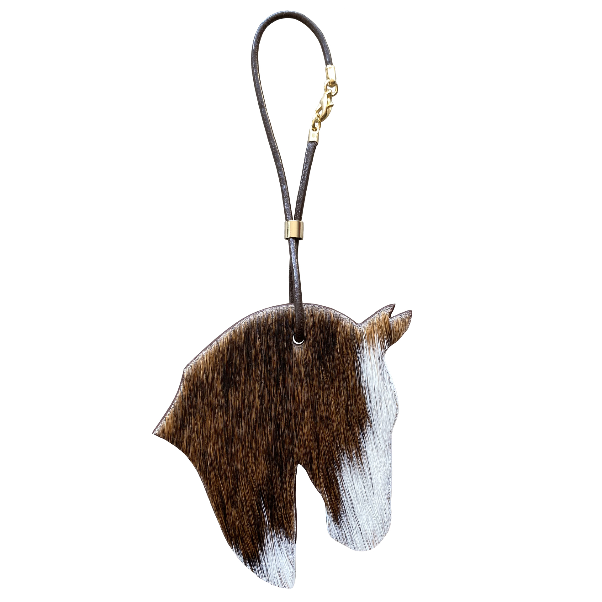 CHARM CHEVAL Poils